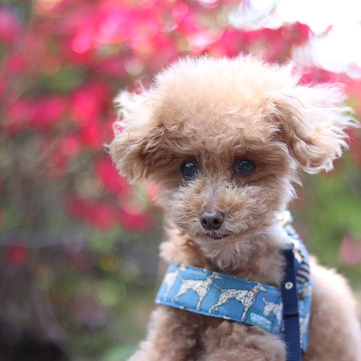 145f2aad 08f9 4022 afb9 aa6d3b3c03f1 1604845025974