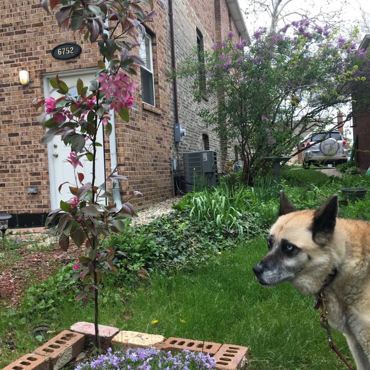 145f3413 620d 4762 871d 196b3d4746e4 1558227528729