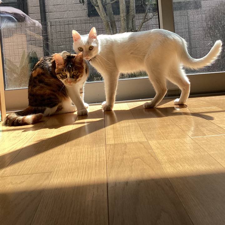 145f3755 2fe9 40e4 b7e9 7d8cf4309e2f 1648100151693