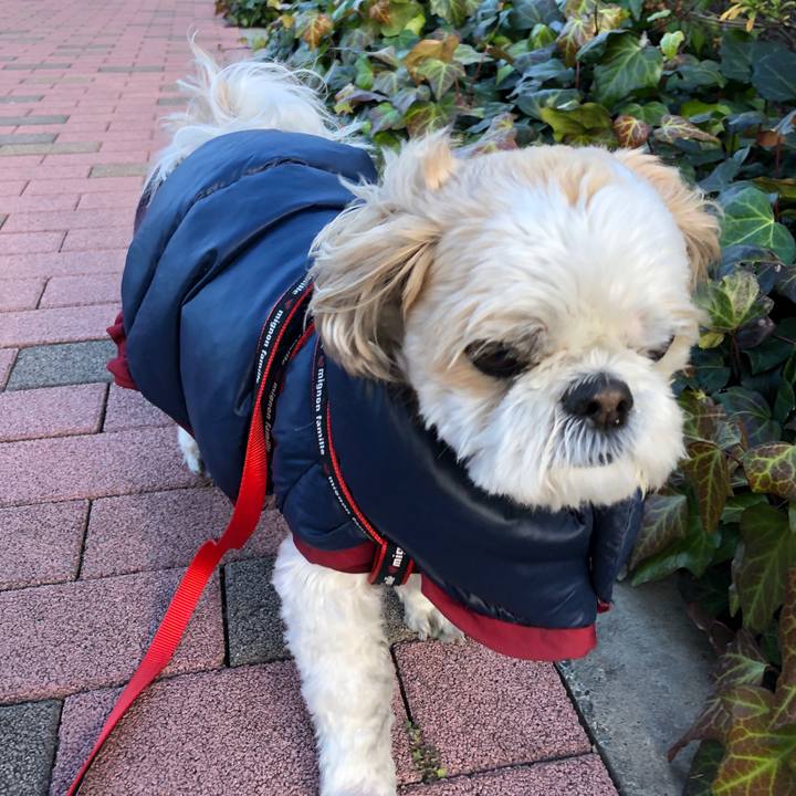 145f41f4 3c1c 4fa0 92f4 380dda03de53 1547588321540