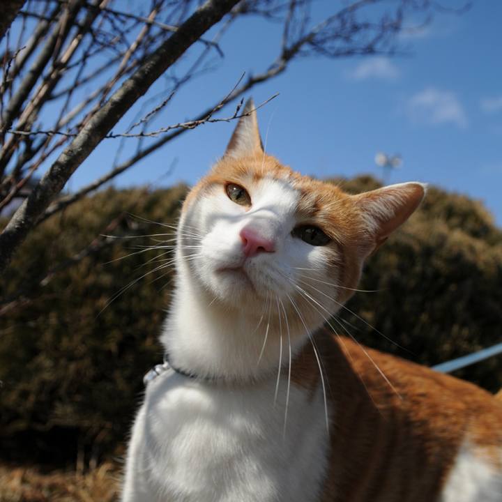 145f4b4a b244 4fca 96b0 a3654d2656d7 1519548155695