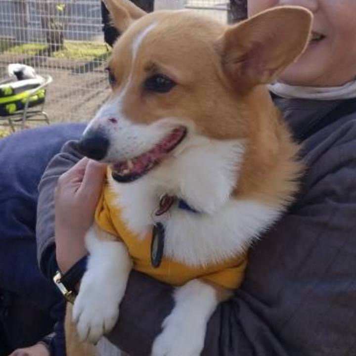 145f57d2 c1d2 4f94 b194 5d62f310a86d 1763357992293