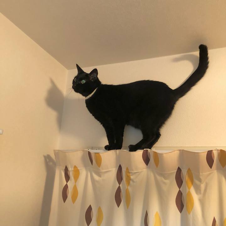 145fac8e b2a7 4540 a5f3 bf788e1efc02 1614863516415