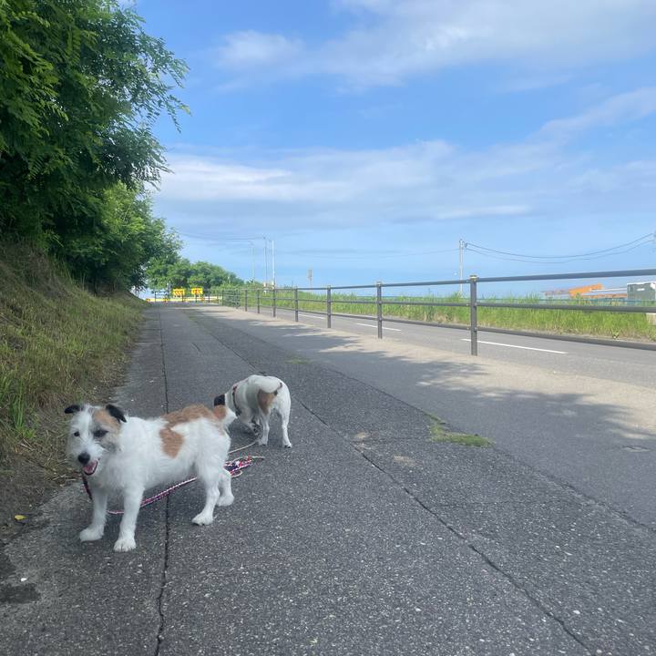 145fbf71 e306 4803 bb55 7c1491544f64 1721536582842