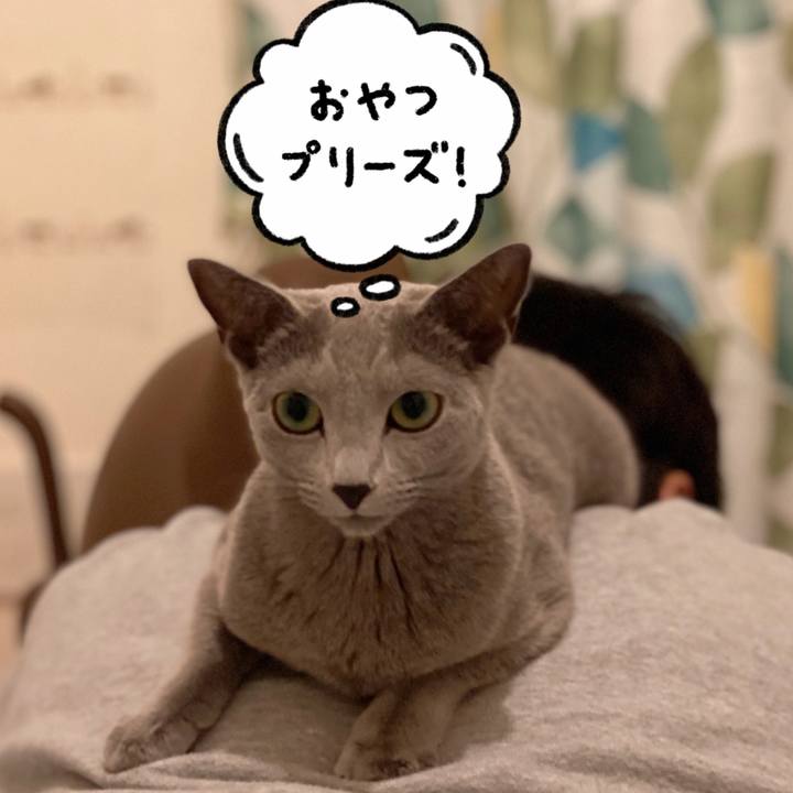 145fd2ac 154c 4560 ba6c 5510e06cbe63 1638024269051