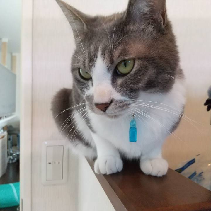 145fdd9f 1930 4cd1 95fa 5f84a9911e32 1613794731332