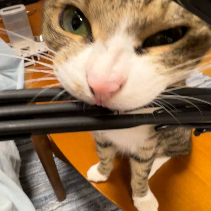 145ff3a7 e00c 4c44 b4b9 3ebc93783db1 1759501554290