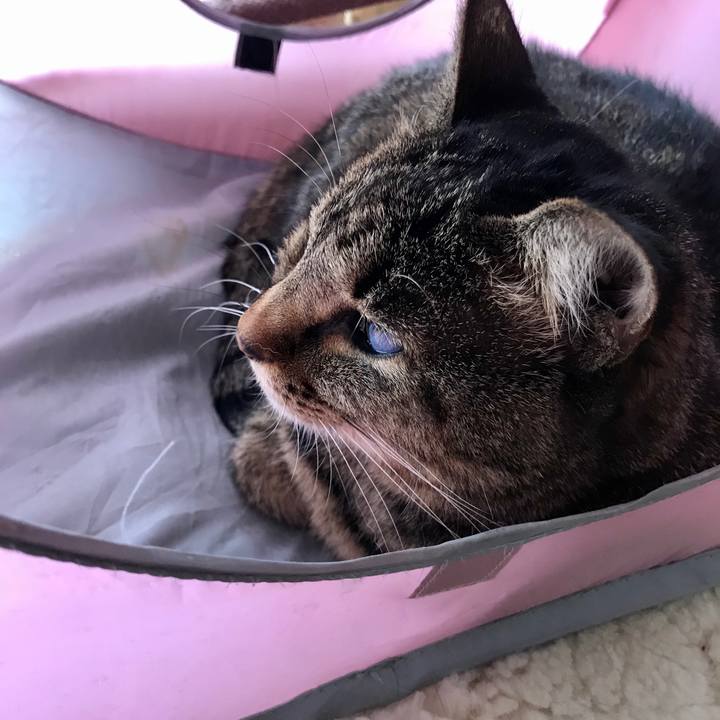 145ffe3d 1fac 4293 be59 3e638beffae8 1576411336004