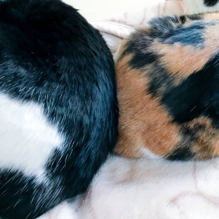 145fff2d e4c2 4fe1 a0d9 5f9cb33aeccd 1514077138728