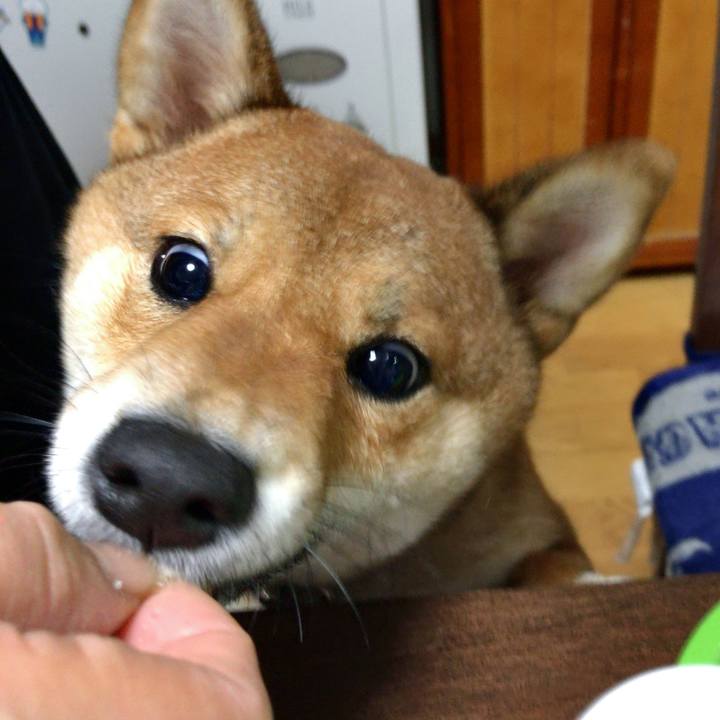 14601f23 b439 4035 ab24 1fadc4a27fbd 1517569045231