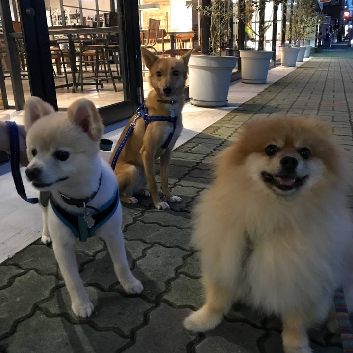 146025c3 b66d 427f 94b1 8335190dc464 1534245700054