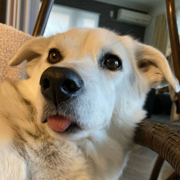 1460a940 a0e1 450c 8eba 0c861e4dfc51 1679133878226