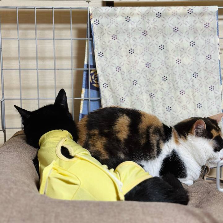 1460cf7c c5c3 47bc 9ebf 2d2acc07ceaf 1719104822884