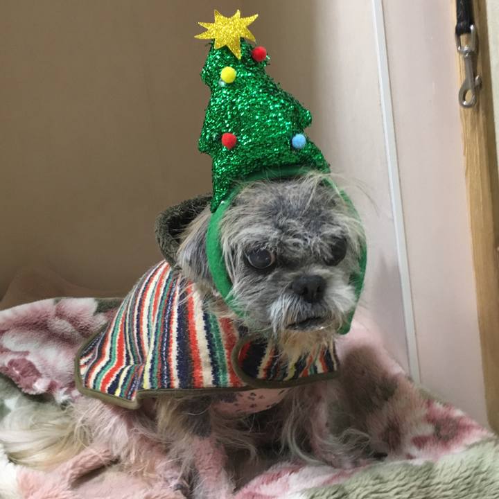 146143f5 6f7c 4318 92b7 ce9ffbd5e80f 1511859349442