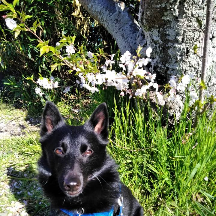 146152fb 3ec7 4e7e 9fec 43eee23c029c 1555110064494