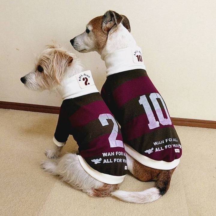 1461a4b4 33dc 438a a46e 1211a0702d0f 1742683926599