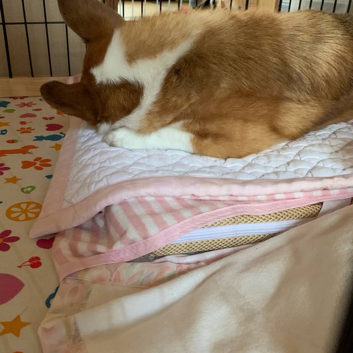 1461d17b b13d 49a6 a2ef 8cb7ec4459bb 1622509815512