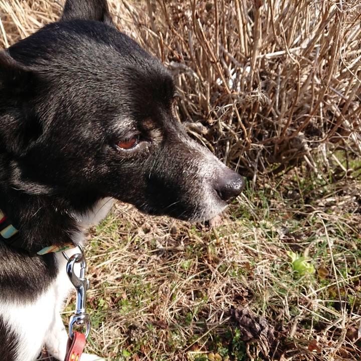 1461dfaa 4a01 4baa 9292 7dab13dcd17b 1520899310100