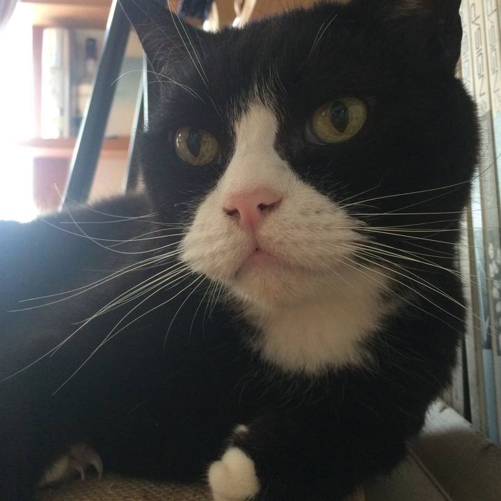 14622510 f5d0 4e48 ae30 5069ea92757b 1563578949468