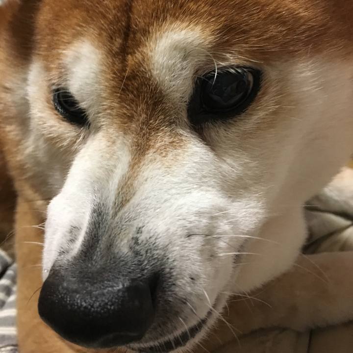 14625bad 2c8c 4525 958e 04bc54bc7771 1523699964982