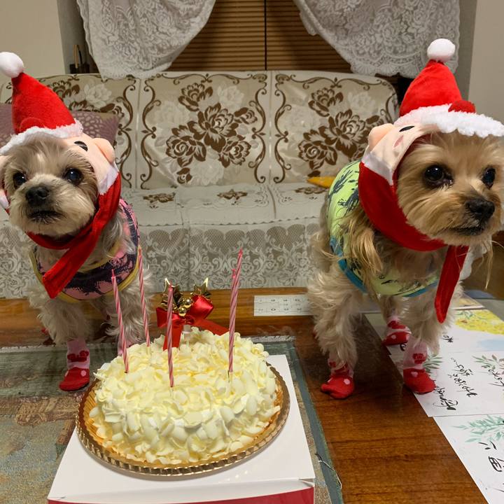 14626d9d 5ed8 4485 ae25 be6923e8f3bd 1577178578310