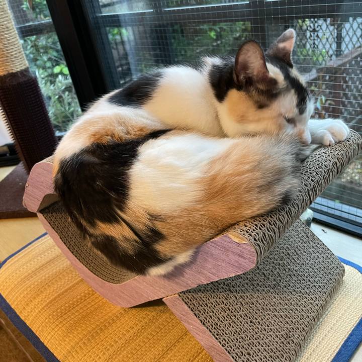 14629625 5df2 40ee ad93 86b7b8ebeabd 1694127573620