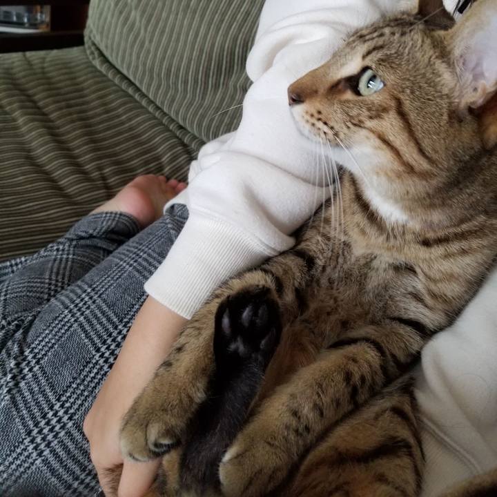 1462db0e d363 4b1a 967c 5e6139a2c86c 1642257414587