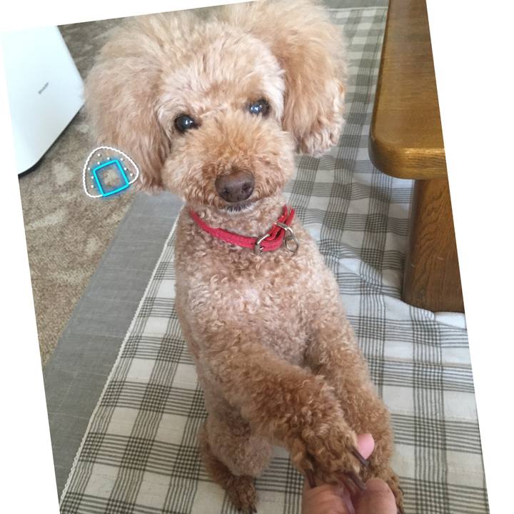 14633037 b0a5 42bc b014 b8ace8d65005 1531884315363