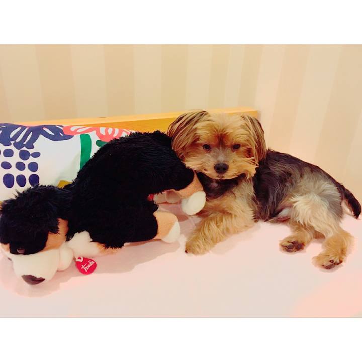 146340d2 5176 4319 aa33 a0e0e371ef9c 1577617701688