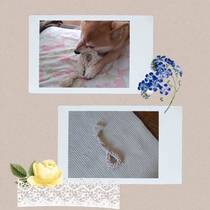 14638f48 844d 427e b812 8af4463c0443 1747122068812