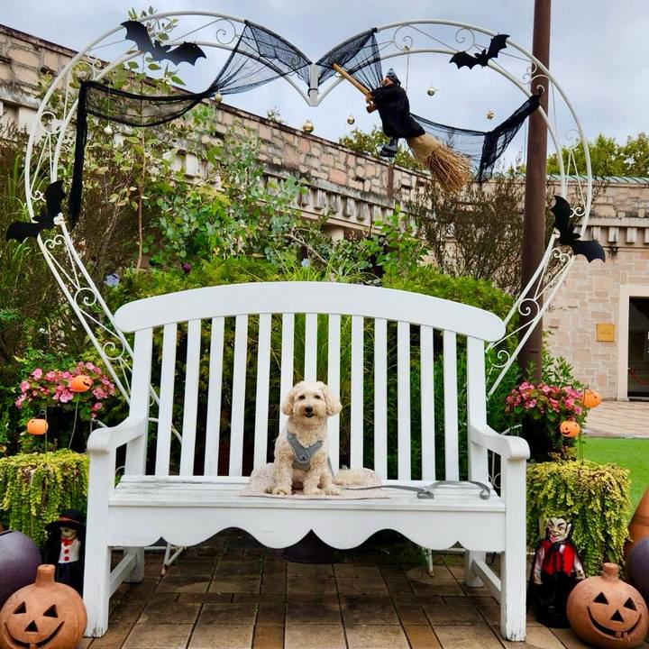 146390e5 9671 424f af0d be850da90cd5 1760055009580