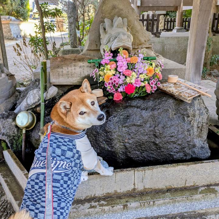 146395e1 adb5 4167 b410 cbd8a4479342 1770021366569