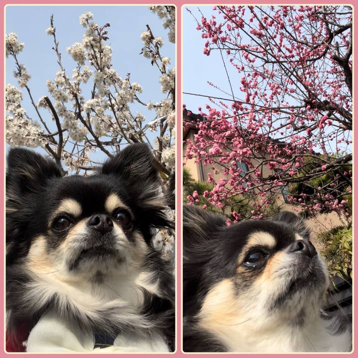 1463bc4c 0fbd 4188 bda5 f923810a6601 1678332086469