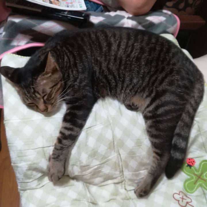 14640838 0e48 4b71 bf6e ecb03cb4c269 1568546016209