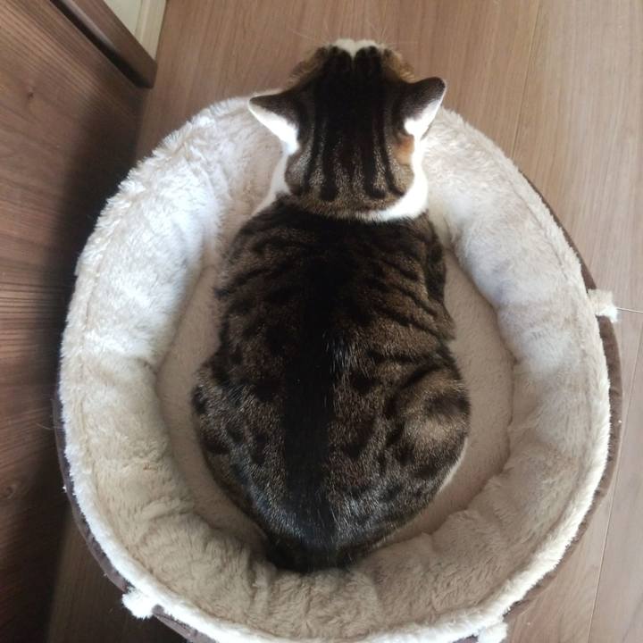 14643019 c238 4a9c 87e0 1f0671eaea14 1579414463612