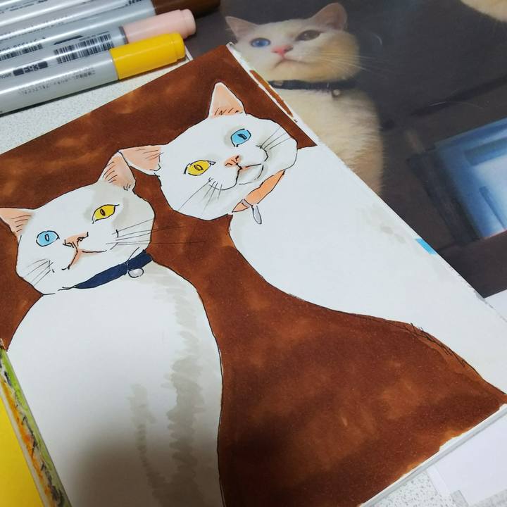 1464370d 2446 46c5 bef1 4146c6ac88cf 1538227688205