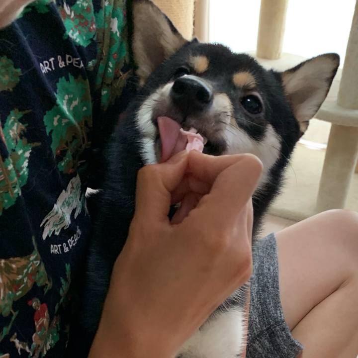 146472e8 1205 464e a860 d47b5442ea36 1568954810431