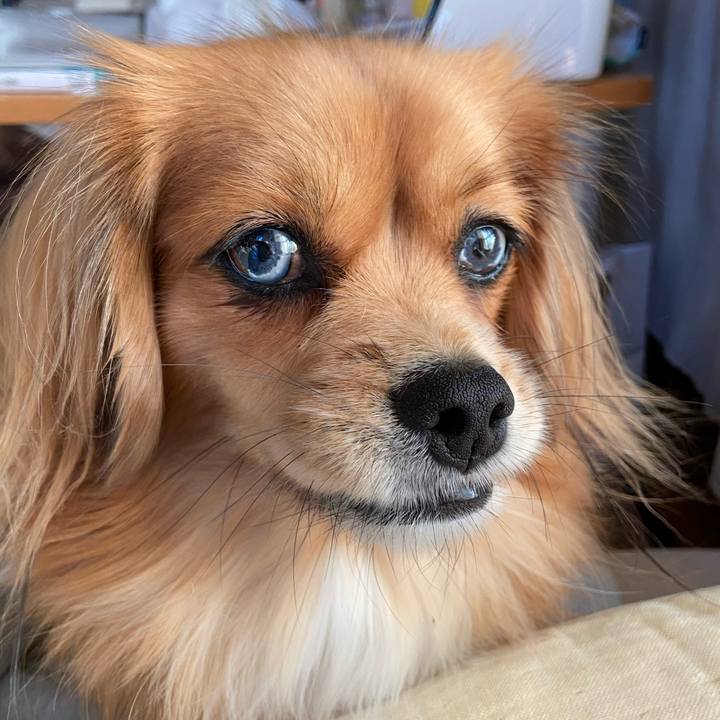 1464d98a b2ac 4f9d 93f7 416cb8cbda12 1574821199148