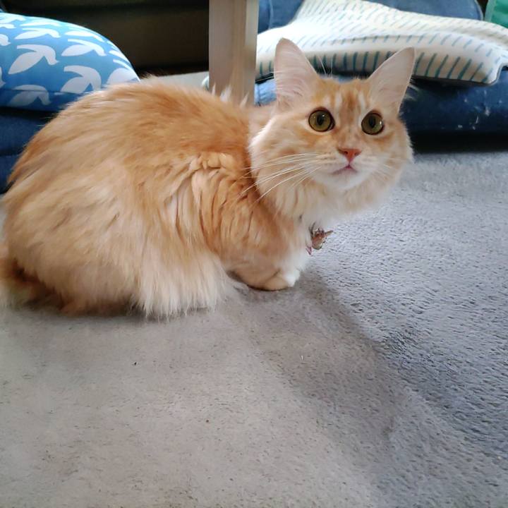 1464f1d9 a2fc 4372 82a2 4169d52b1ca1 1695454923188