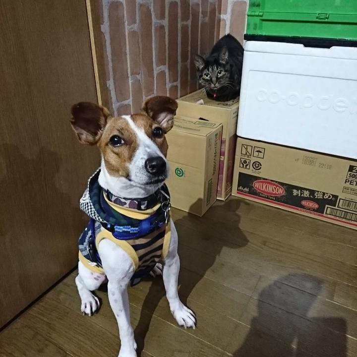 14651560 4a4b 4c52 b6c4 d3bd9e3e7c39 1538568903023