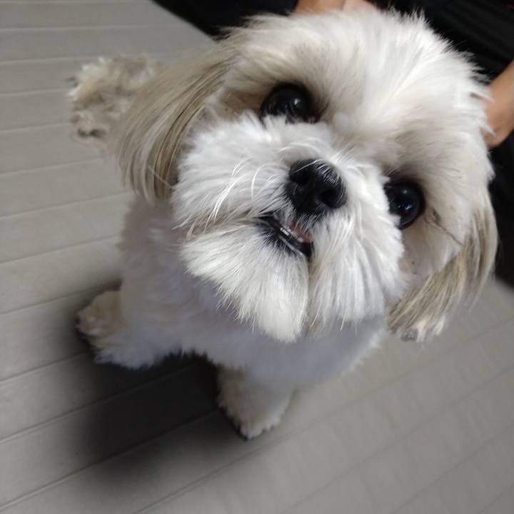 146526d7 389a 446e b43d 5f9f7a775563 1660188439237