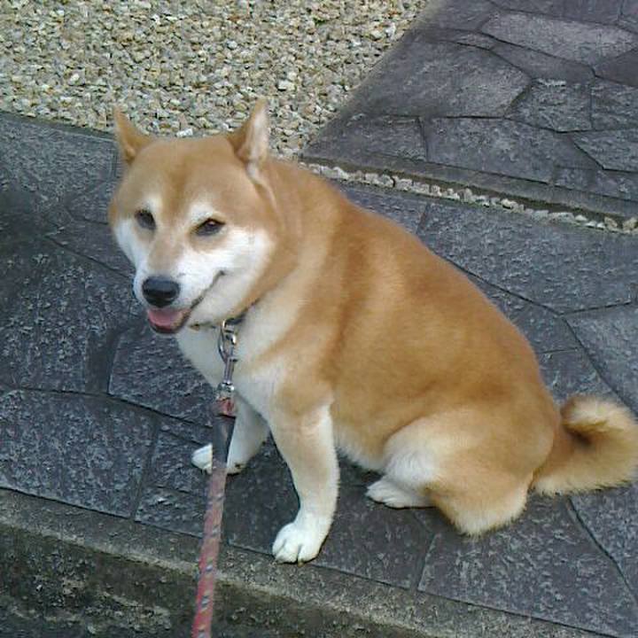 14652b39 0398 4817 8112 15e0d3a90f6c 1568717633394