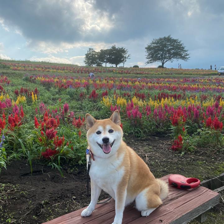 1465337a 2c87 413c aaff 1d6c88d24367 1630160581906