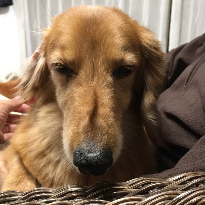 14653d24 b814 4017 8c62 510deadf83a4 1618667055237