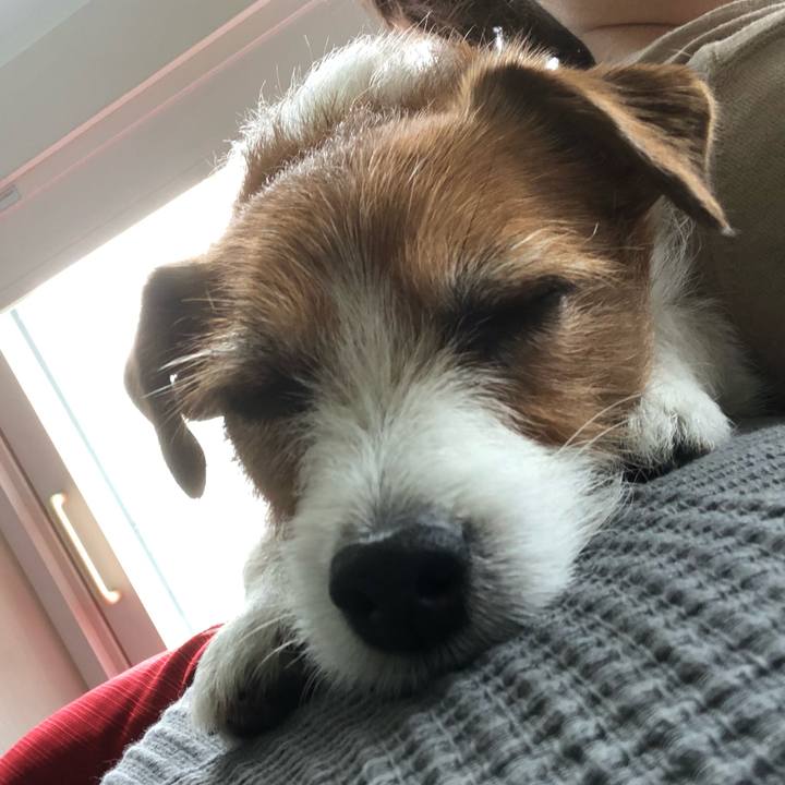 14653d38 dd03 4fcb bddd ac19f9ad5d6f 1588343136489