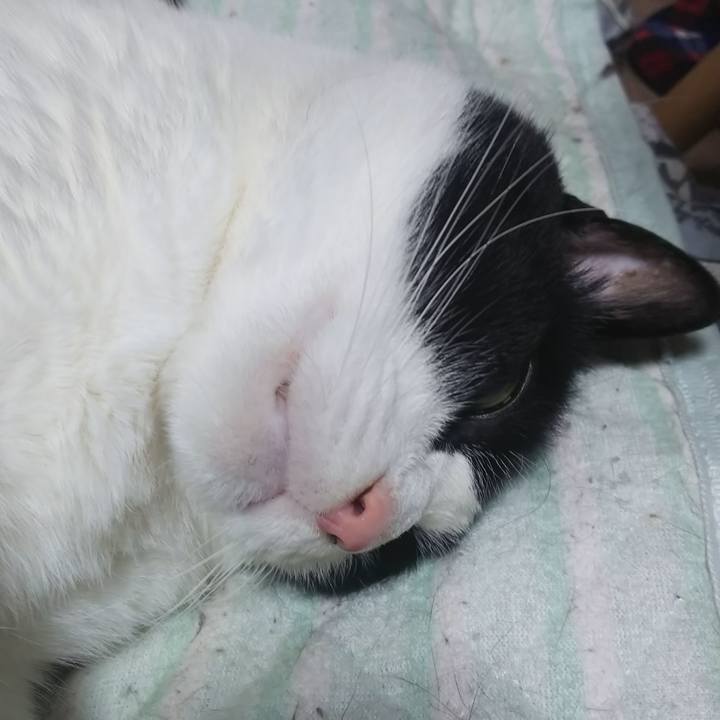 14656d36 30d6 4c86 af0b a1718e4270ea 1560950153209