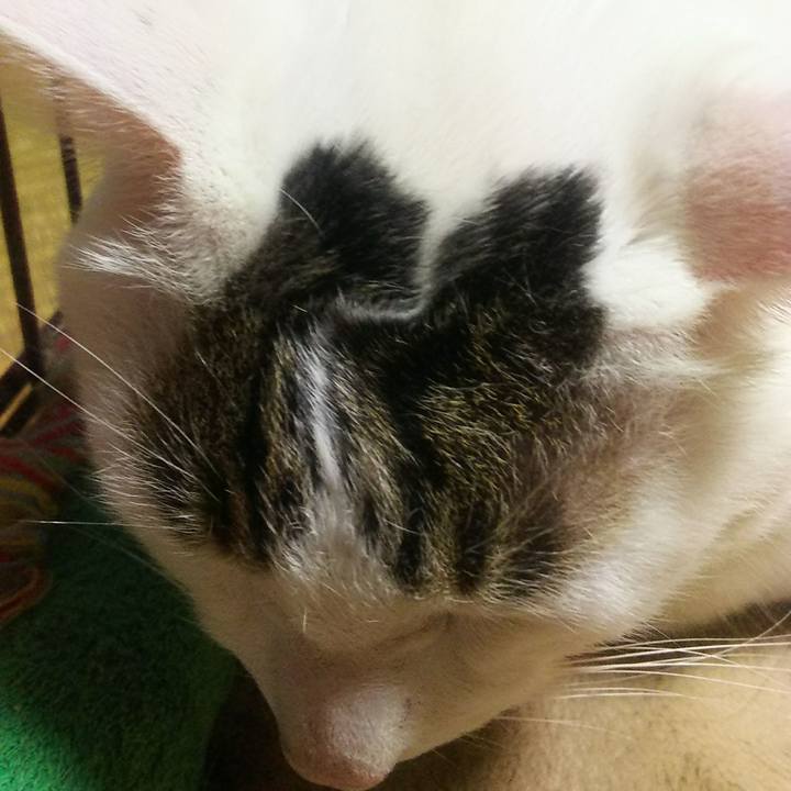 14658acb 12a7 4d7c 86fb 82d6439f2e92 1549527498494