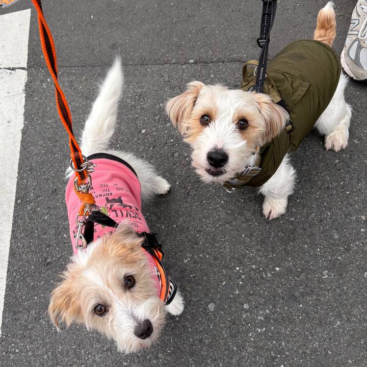 14659cdc 736d 48f8 a80e c2898f4a6a69 1773702305454