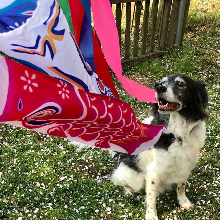 1465ac7d ad67 4144 b3f3 930768600b22 1588672546094