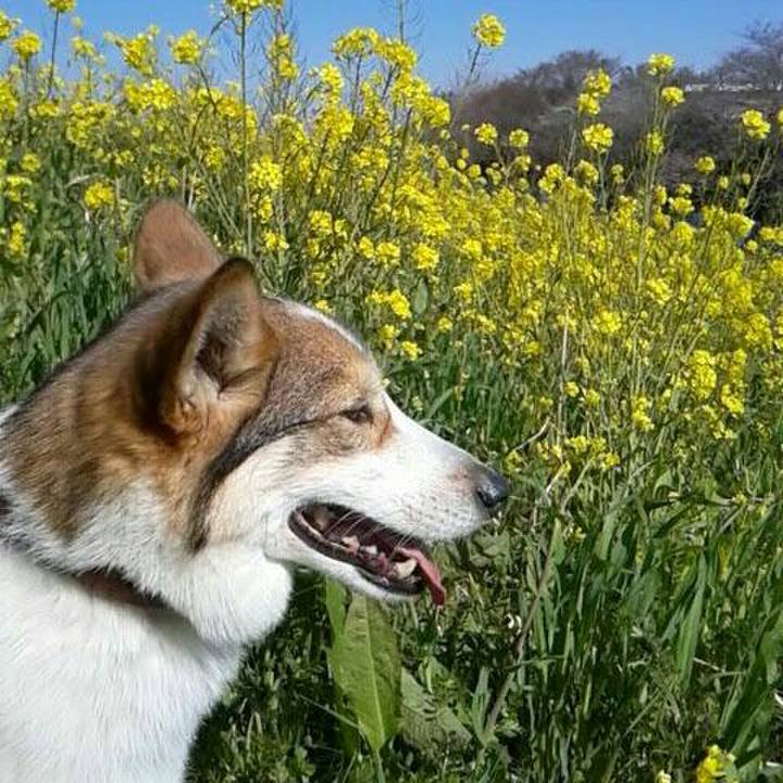 1465b2a1 0265 4fda 8d9a 0b45704a81eb 1554960856793